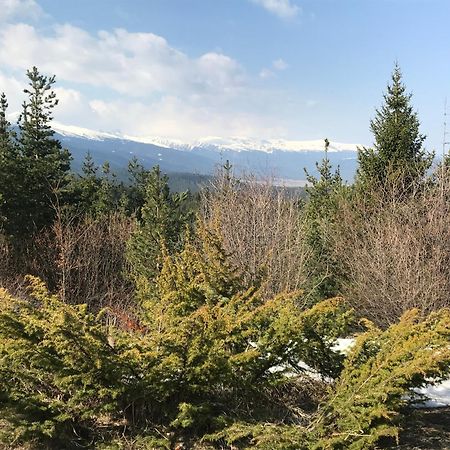Borovets Hills Apartments - Evergreen Suite Ngoại thất bức ảnh