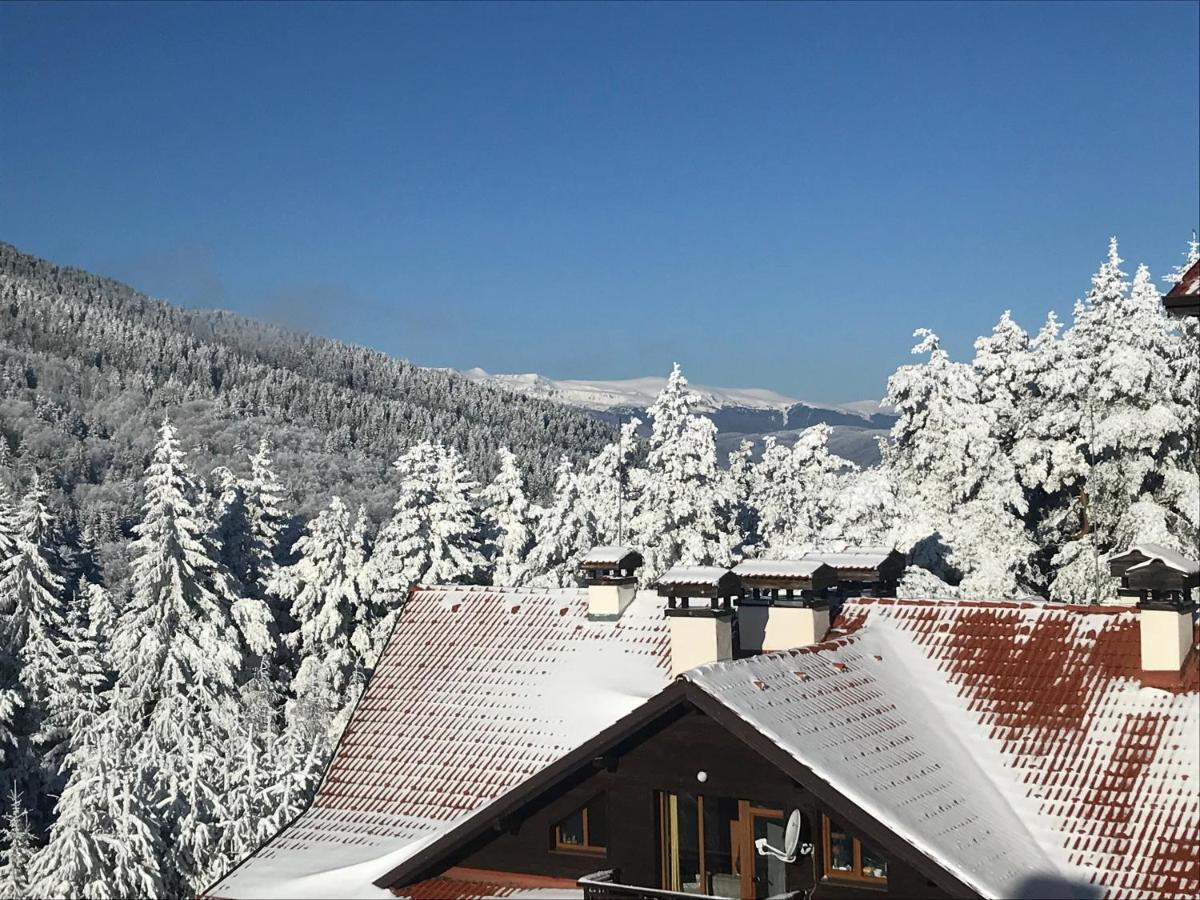 Borovets Hills Apartments - Evergreen Suite Ngoại thất bức ảnh