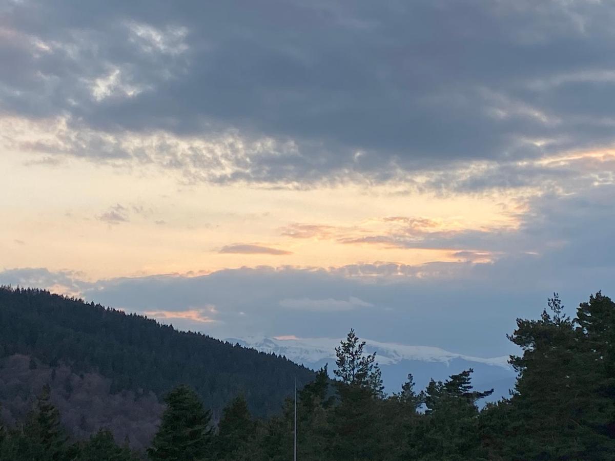Borovets Hills Apartments - Evergreen Suite Ngoại thất bức ảnh